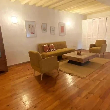 Grand Duplex Lumineux-hyper Centre Apartment *