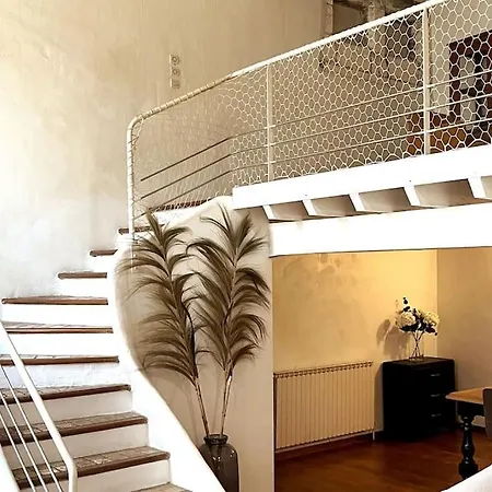Grand Duplex Lumineux-hyper Centre Apartment